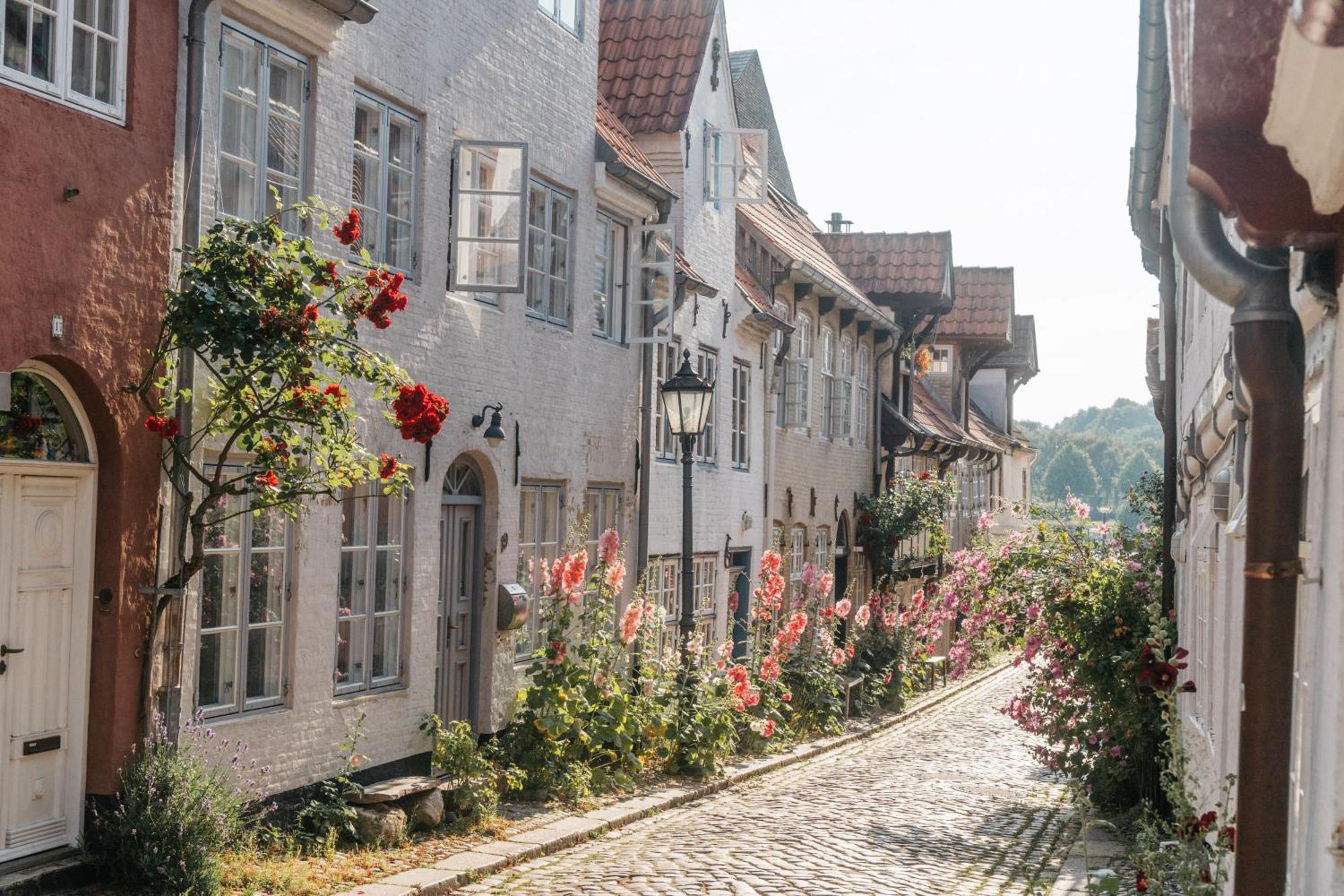 Grosses Apartment Mit 2 Balkonen Zentral Am Nordertor フレンスブルク エクステリア 写真
